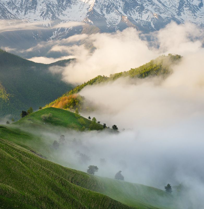 кавказ, эрзи, горы, облака, над облаками Над облаками...  Above the clouds... фото превью