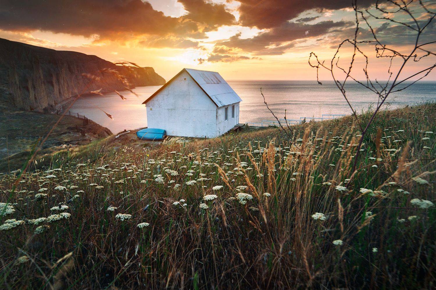 , Васильева Дарья