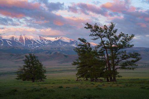 Нежные краски рассвета