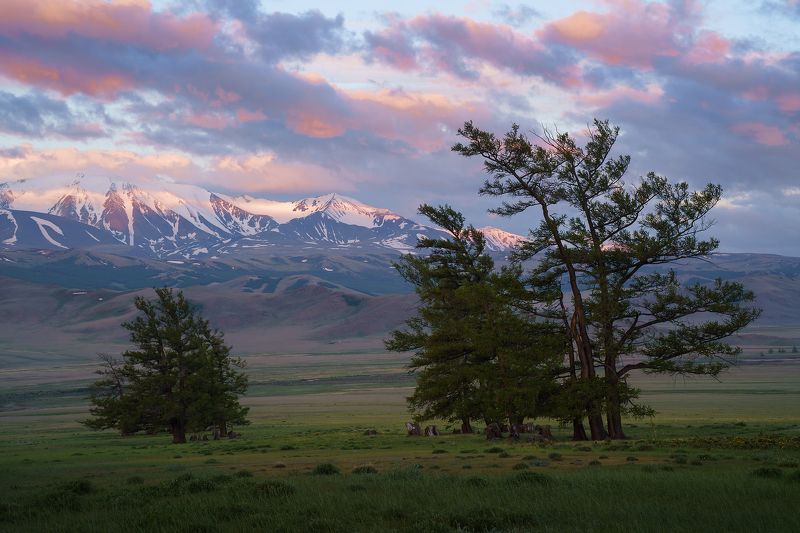 Нежные краски рассвета фото превью