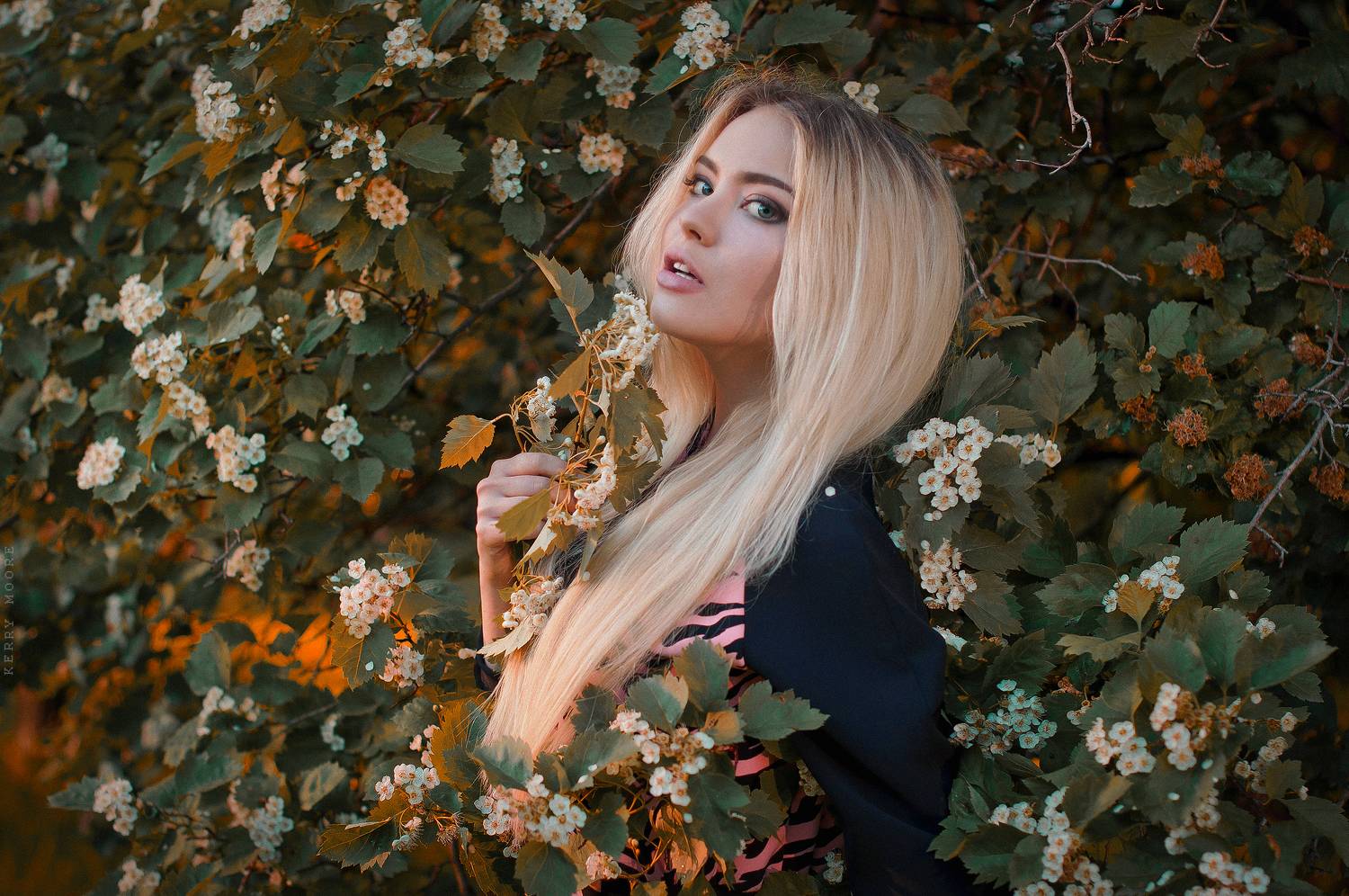 portrait, girl, портрет,style,light,,  Kerry Moore