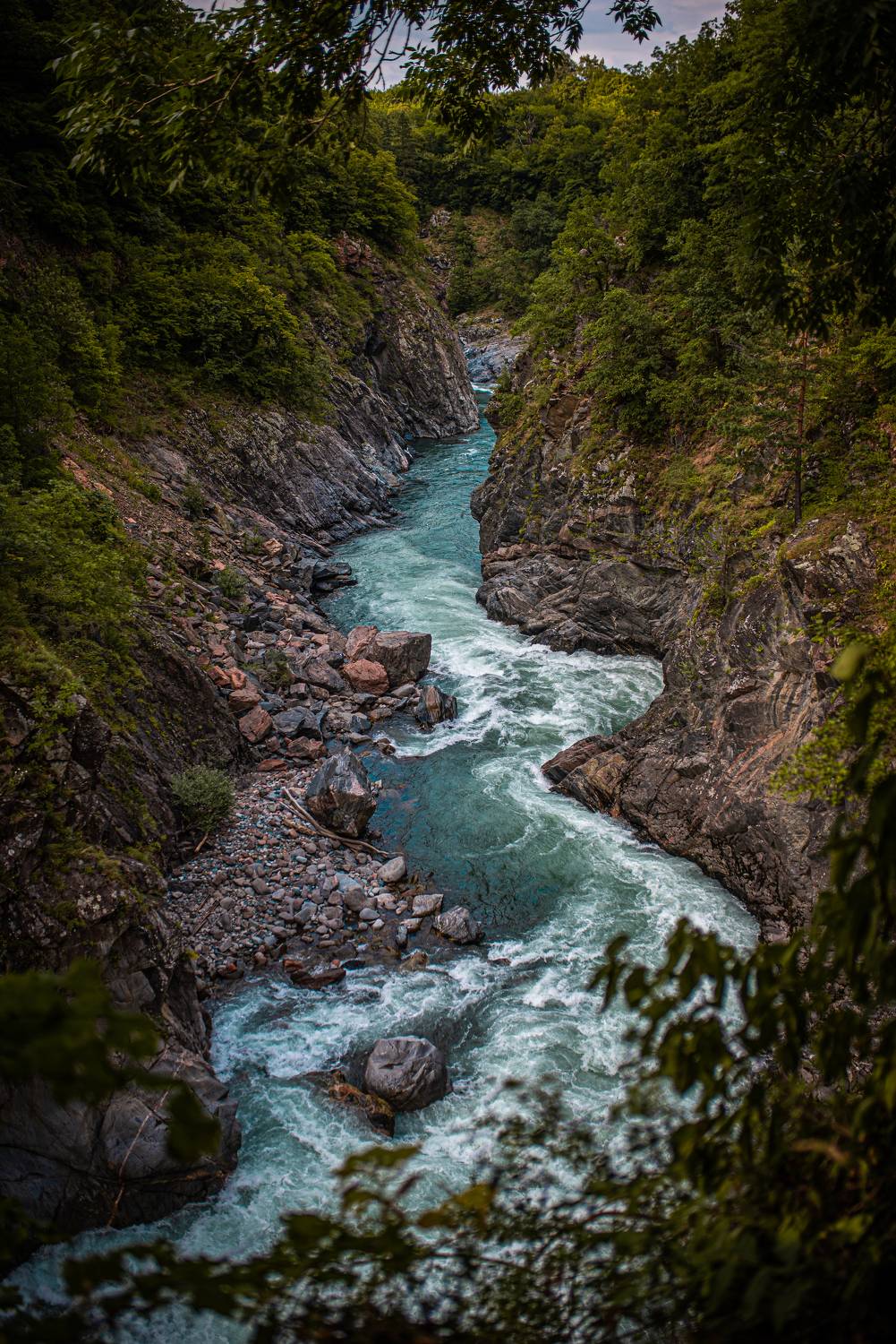 , Дмитрий Величко