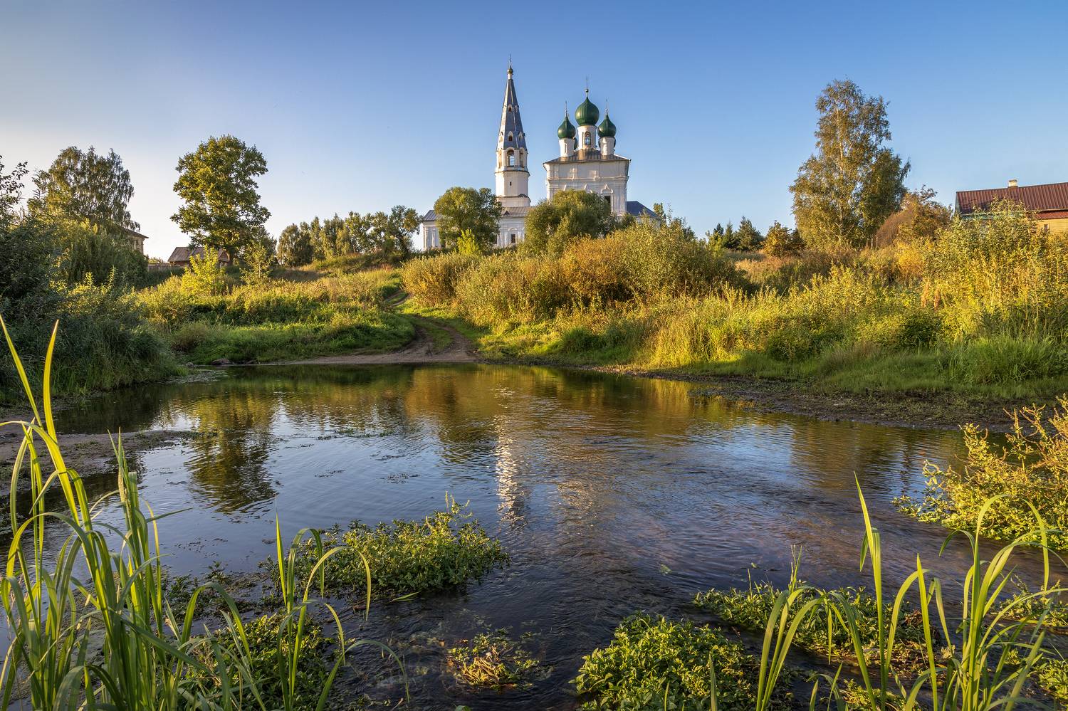 Ивановская область, Елена Гусева