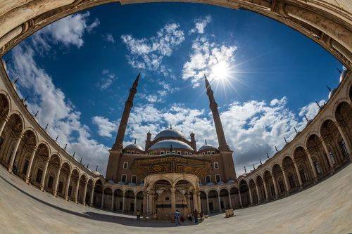 mohamed aly mosque