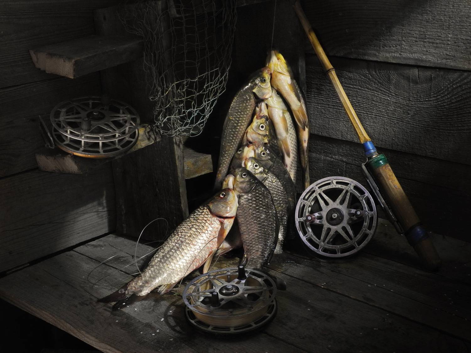 из серии - \"кто о чём, а рыбак о рыбе\"., Сергей Фунтовой