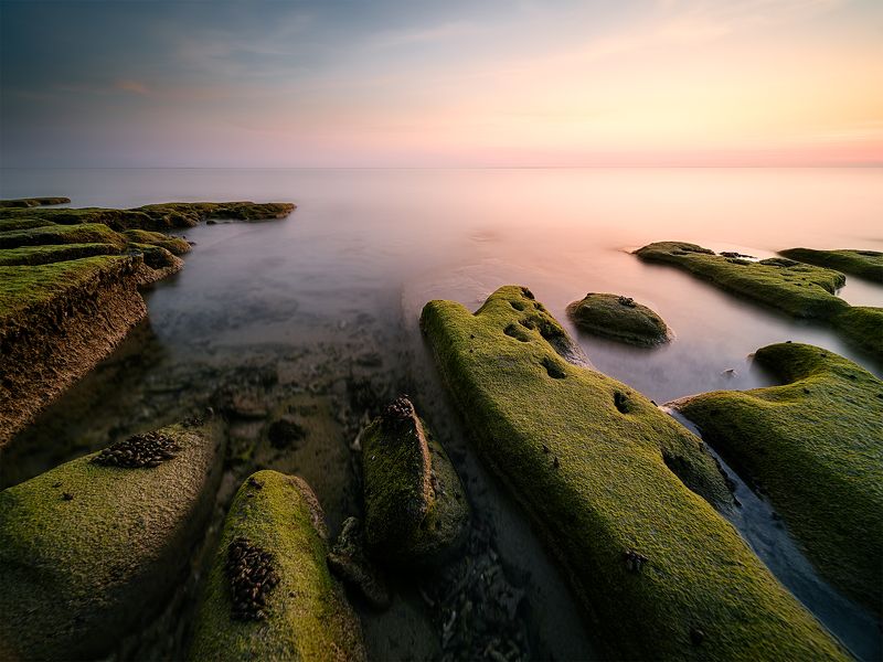 tectogene фото превью