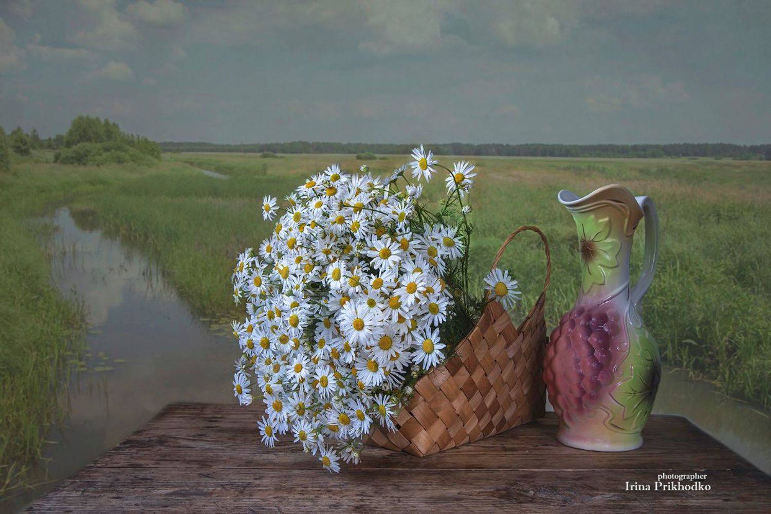 лето, цветы, ромашки, пейзаж, Приходько Ирина