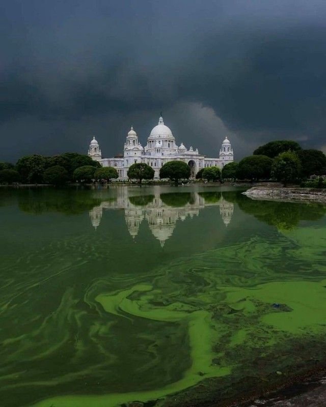 Nyvaan Sribastav фото превью