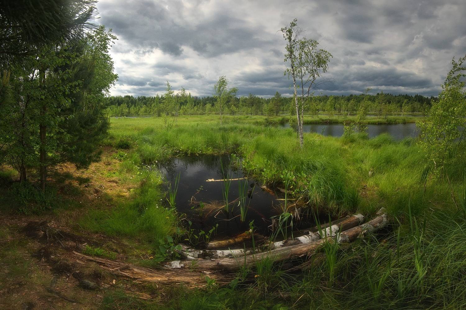 , Алексей Никонов