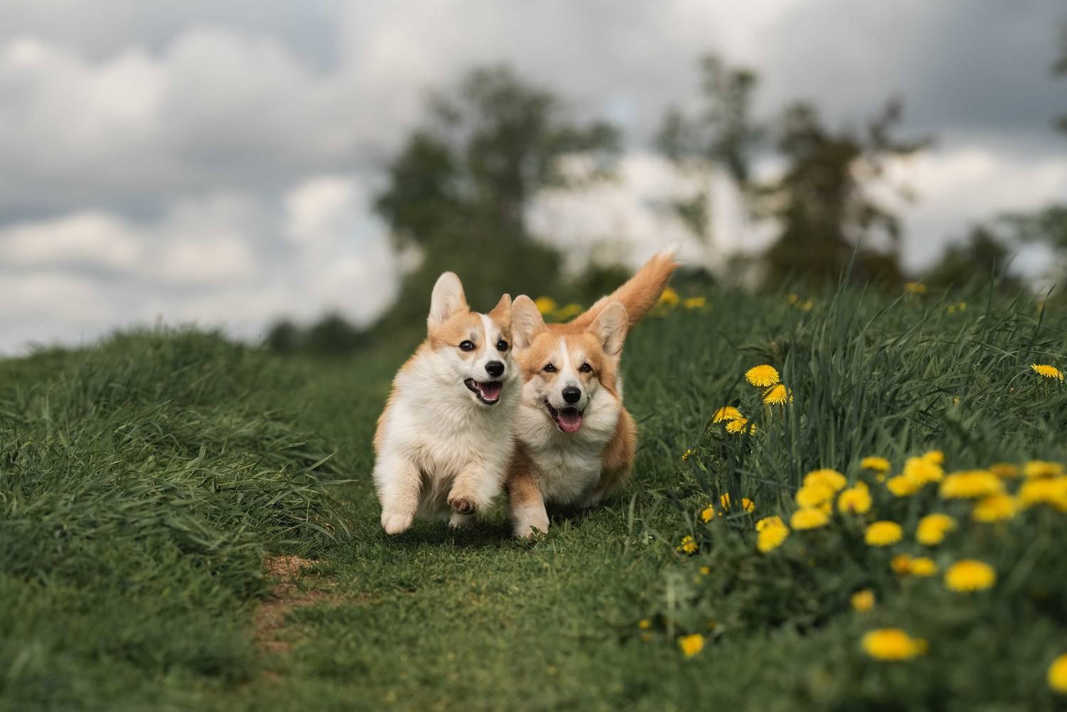 , Ирина Мороз