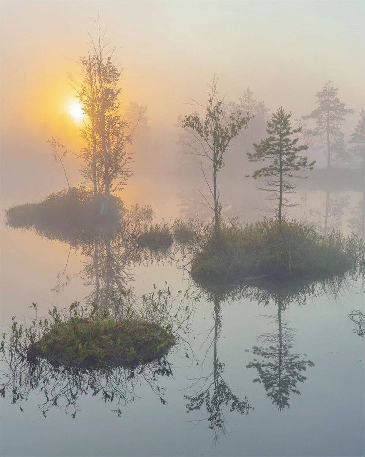 , Петр Косых