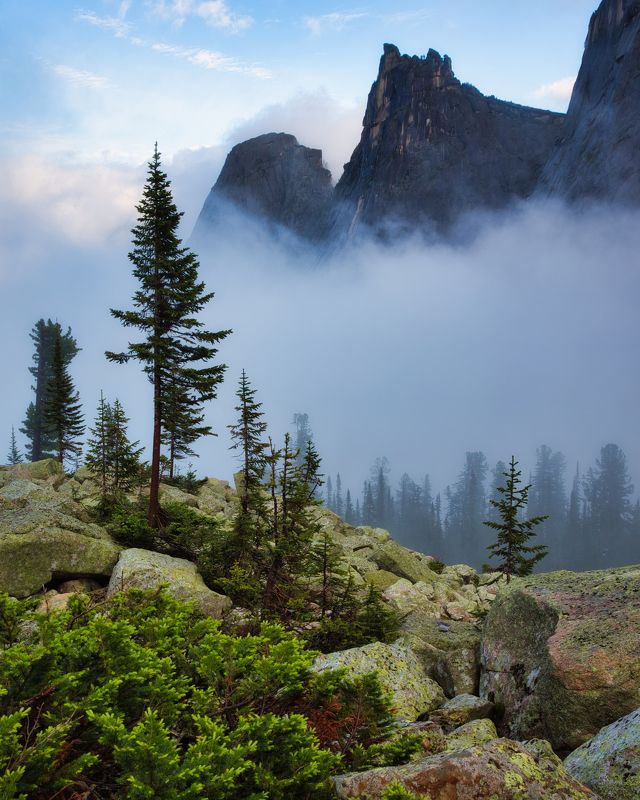 Тугодум в тумане фото превью