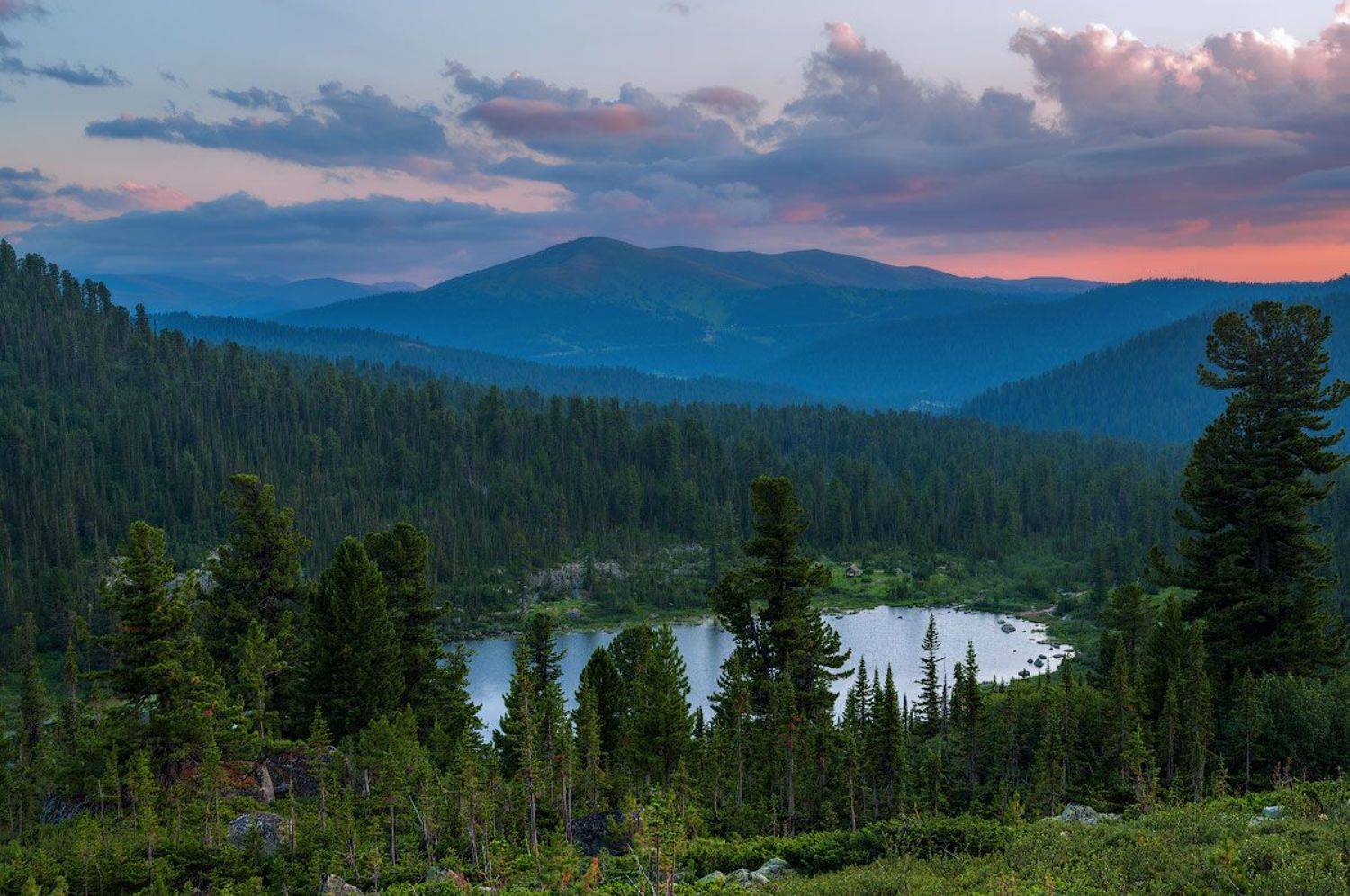 , Сергей Брагин