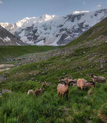 Безенгийская стена