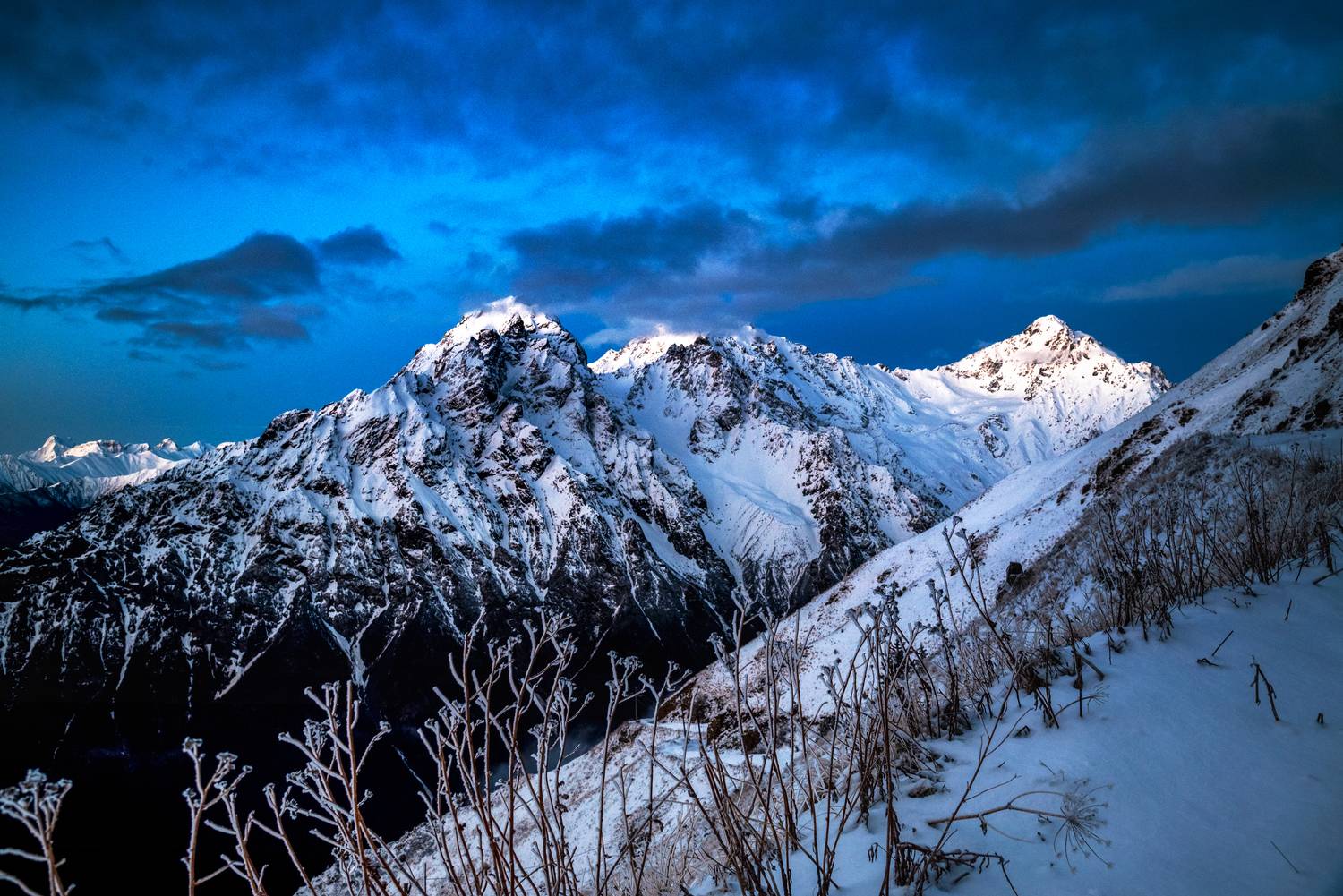 , Лесина Елена