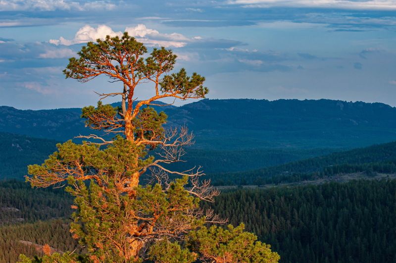 Каркаралинские  горы. фото превью