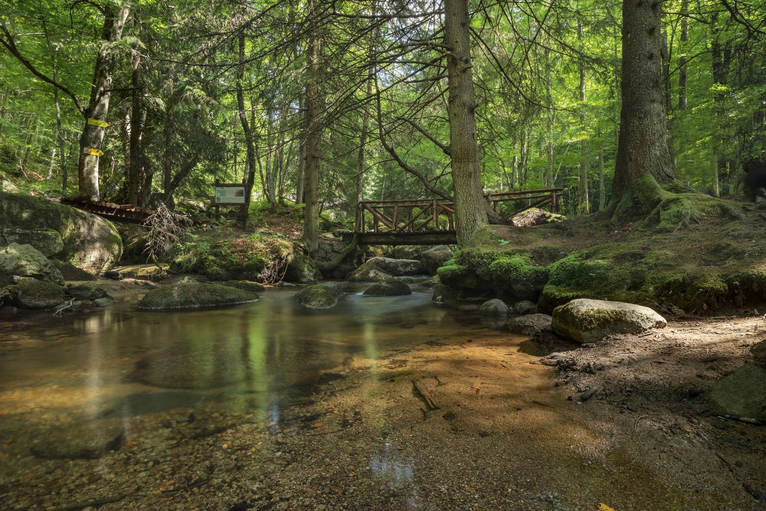 , Александър Сандев