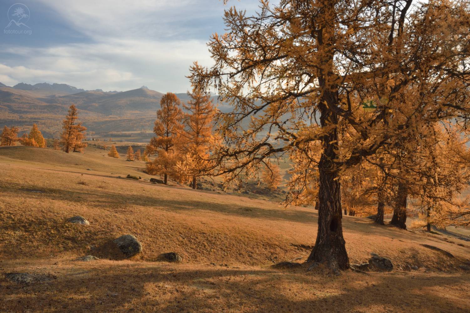 осень, джазатор, алтай, горный алтай, республика алтай, беляши, фототур на алтай, горы, Гордиенко Анатолий
