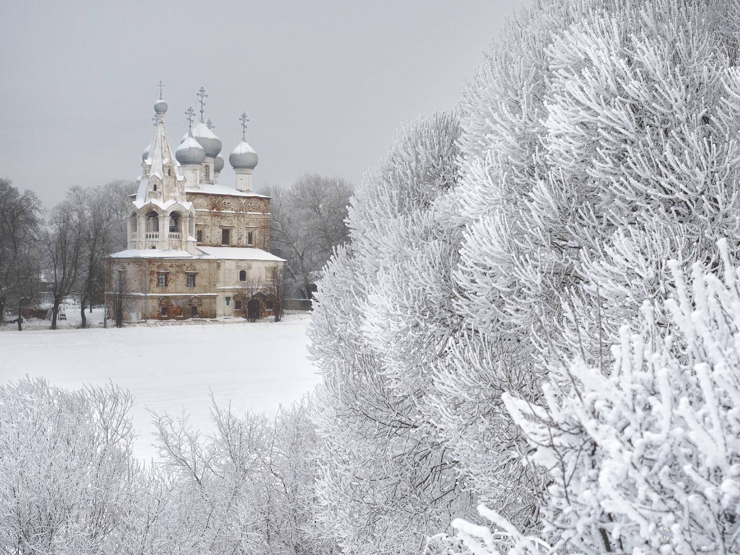 Церковь, Вологда, Зима,  Алексей
