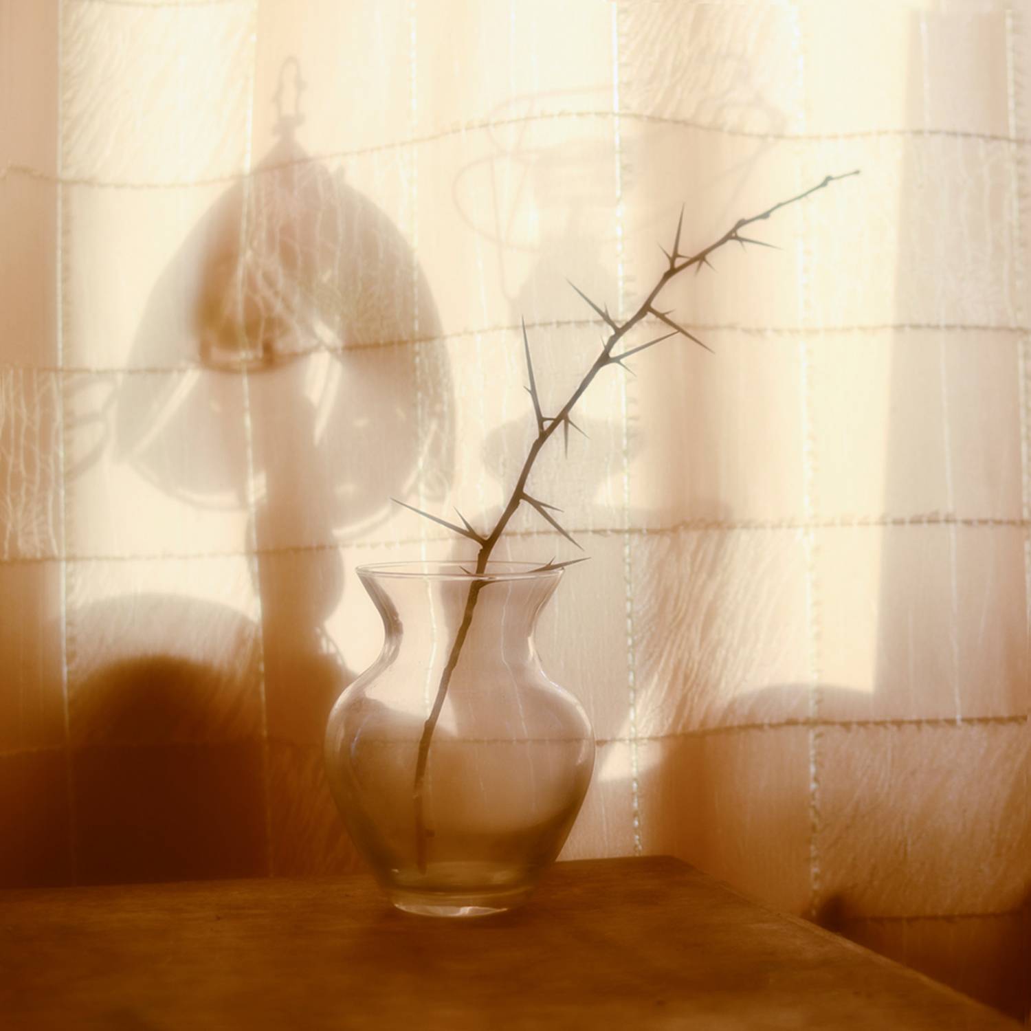 , Геннадий Чеботарев