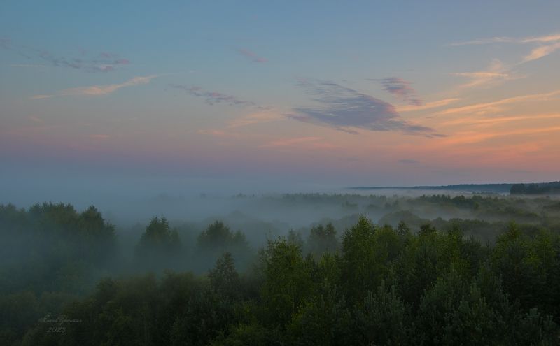 кологрив, костромская область, туман, рассвет, утро, лес, небо Мистика туманов фото превью