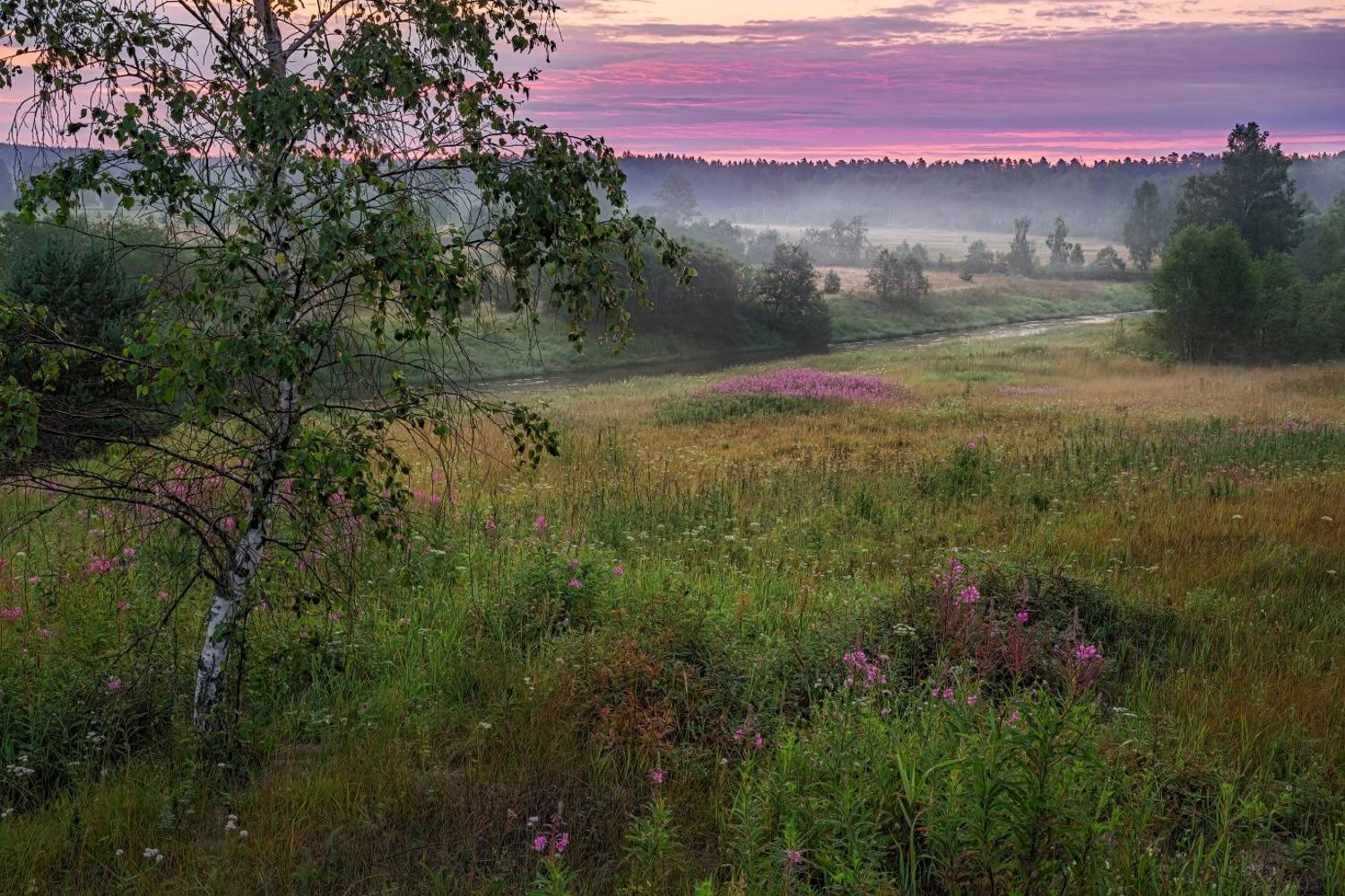 , Евгений Ерохин
