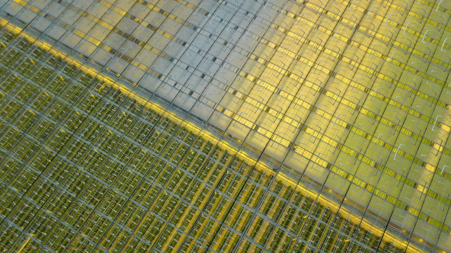 , Сергей Фаренюк