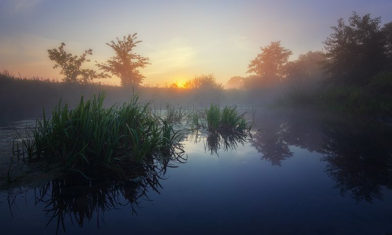 mist, river, landscape, sun, sunrise, fog, dawn, mourning The mist on the river фото превью