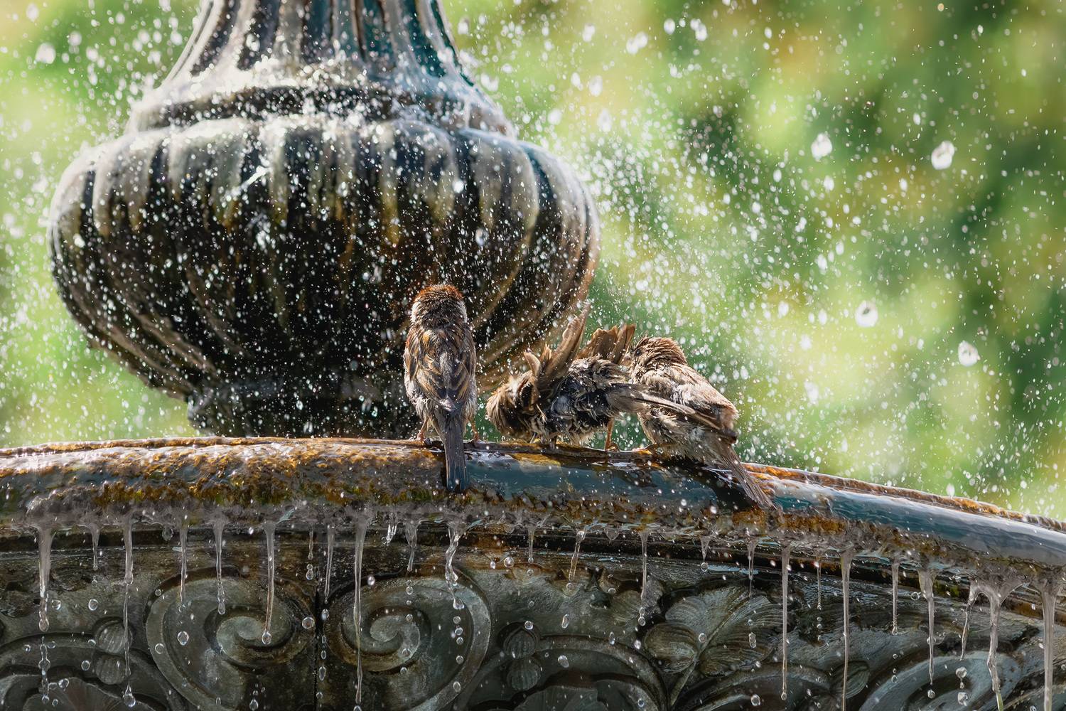 , Алиева Татьяна