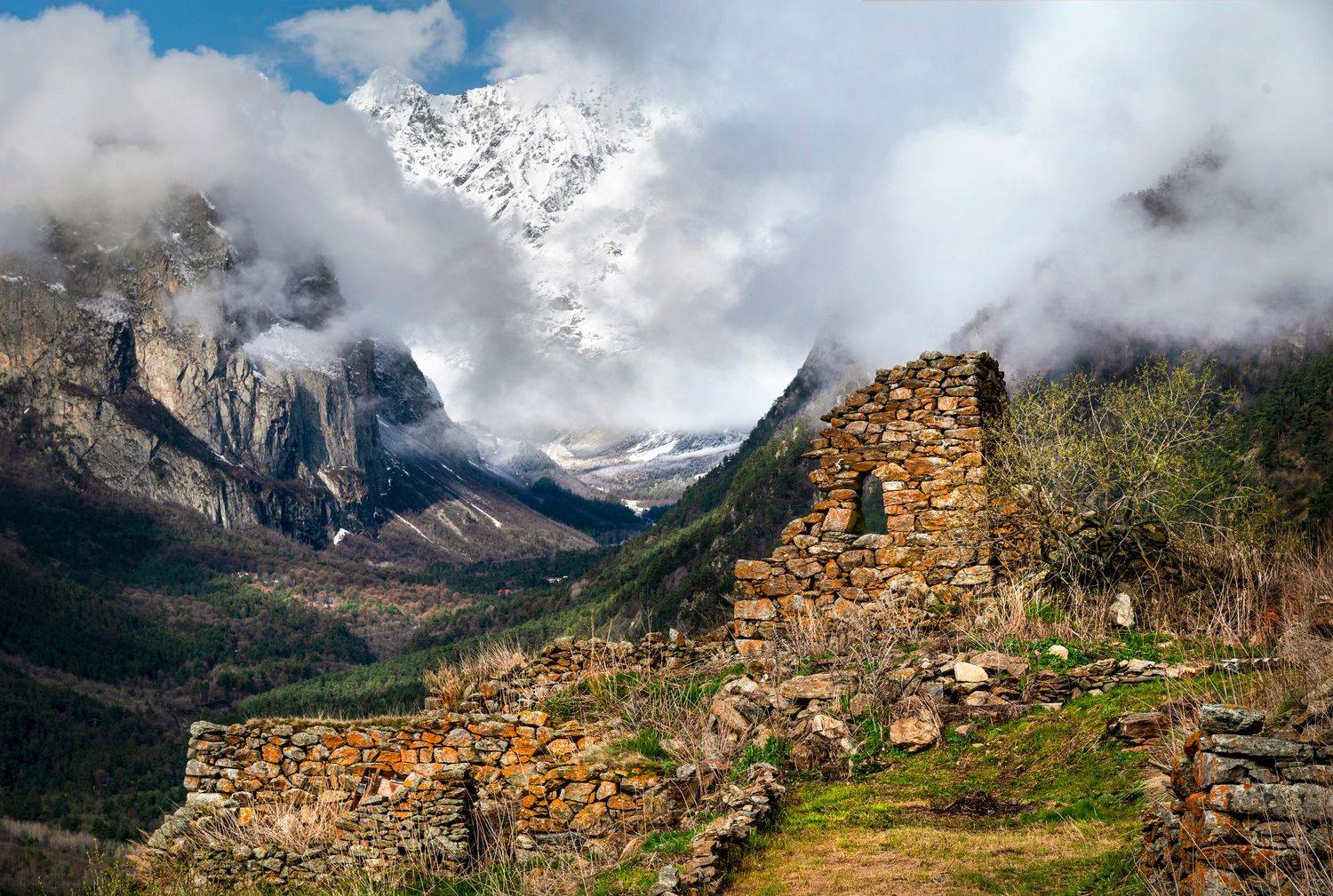 , Лесина Елена