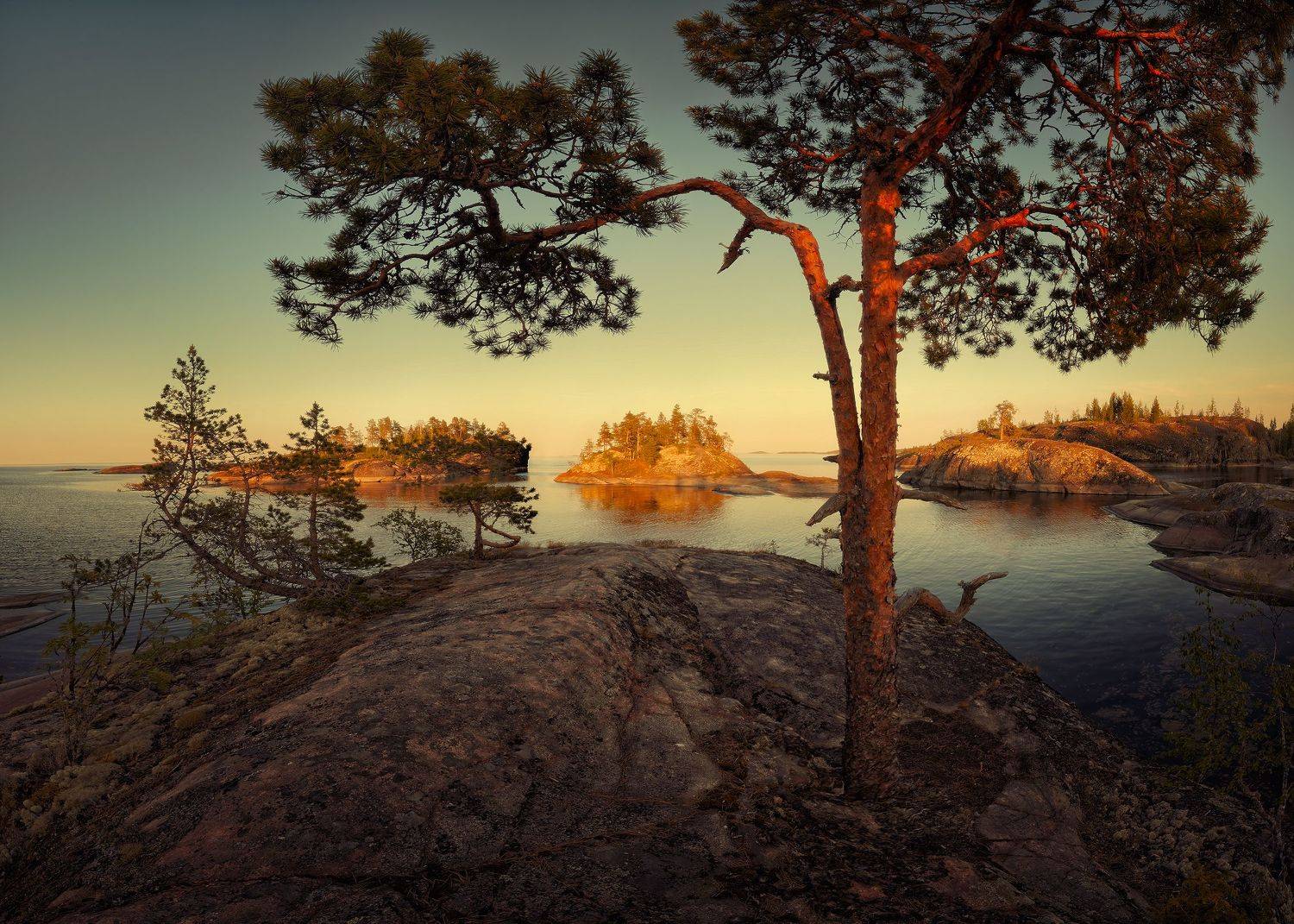 Ладога, Кононов Антон