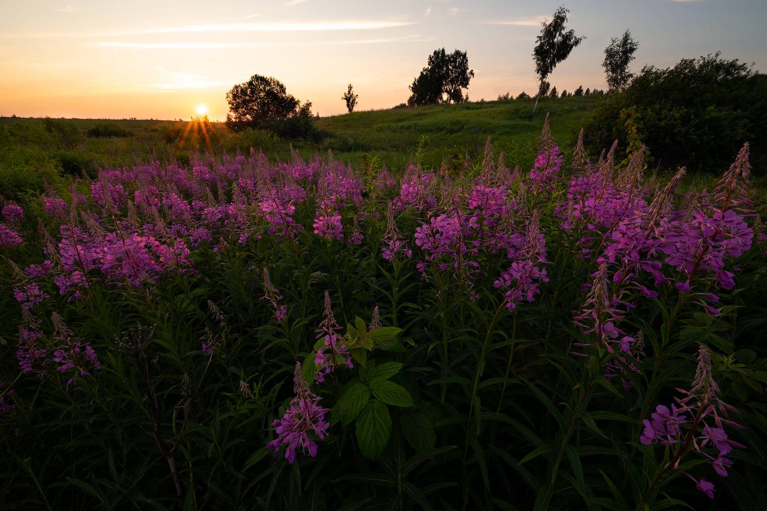 , Стрельцов Виталий