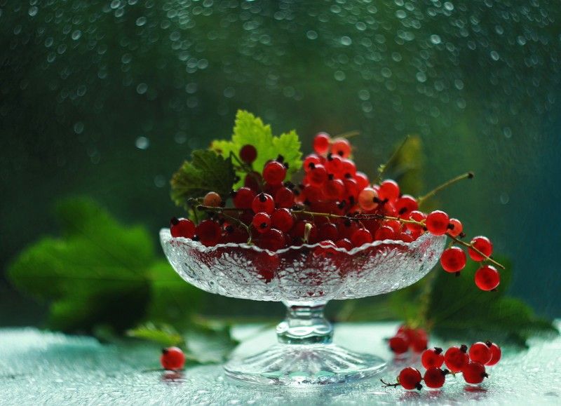 С ягодками... фото превью