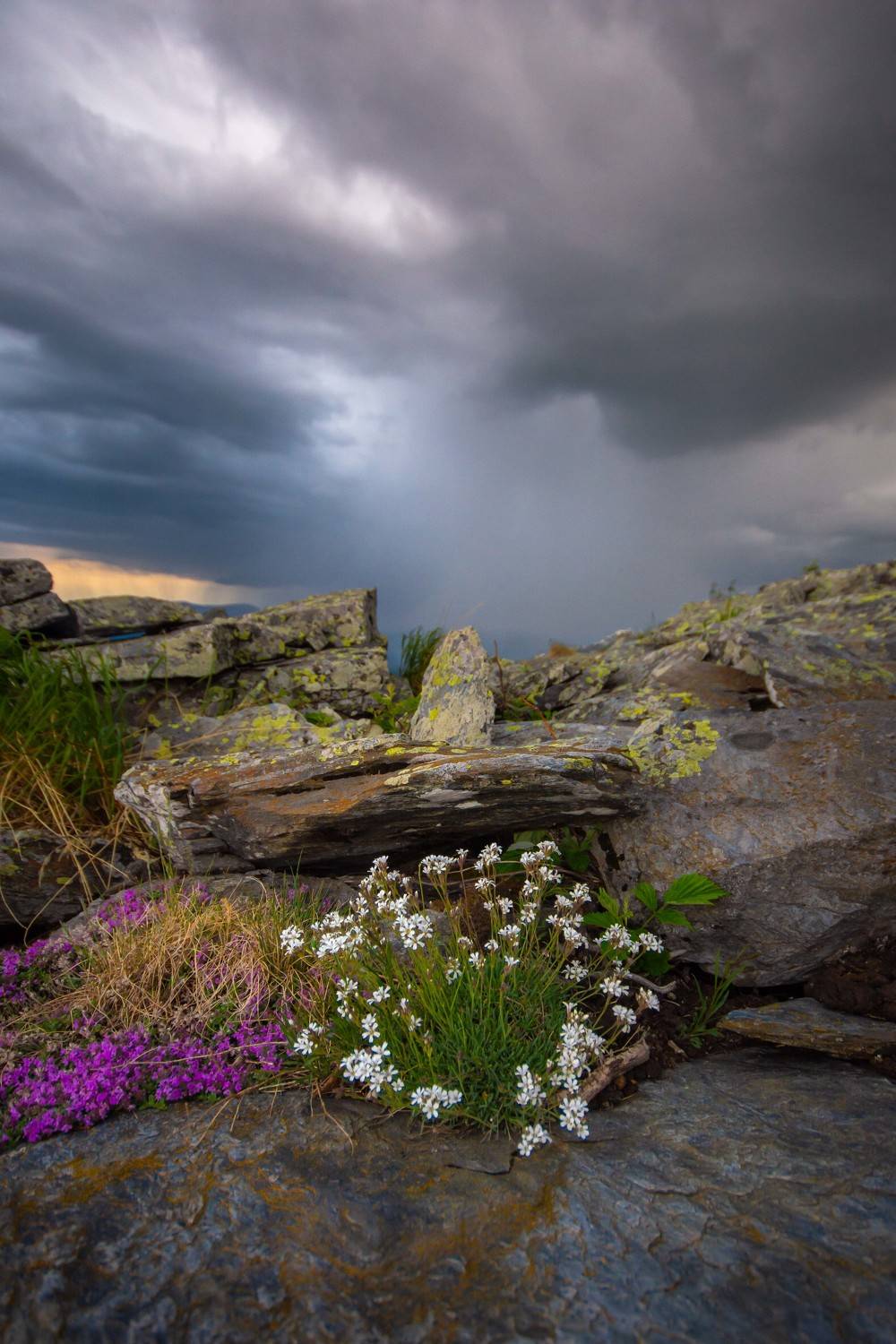 лето тучи гроза горы урал цветы камни, Жданов Дмитрий