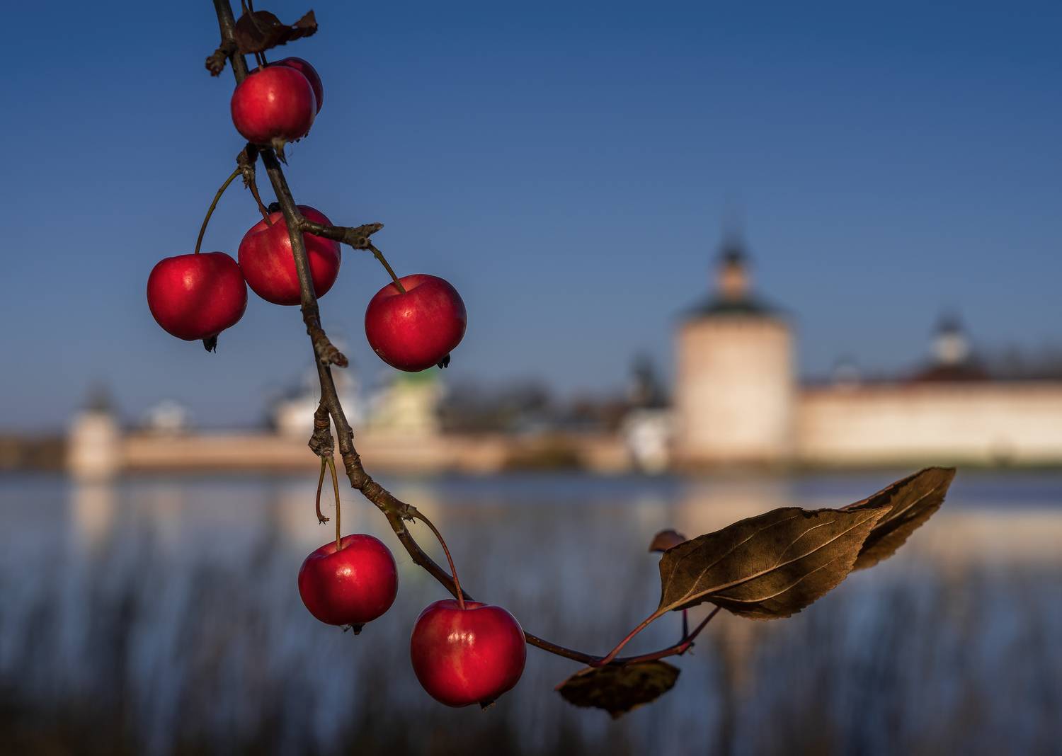 кирилло-белозерский монастырь, кириллов, осень, Зверев Олег