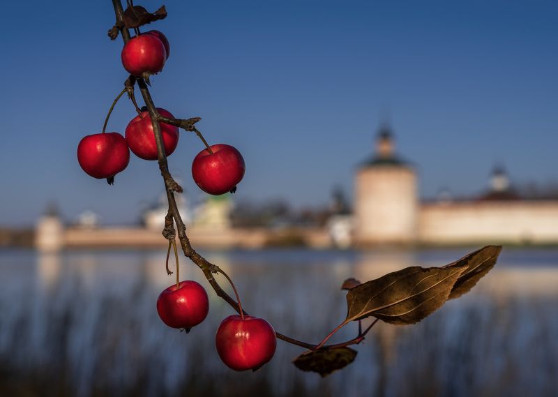 кирилло-белозерский монастырь, кириллов, осень Дички фото превью