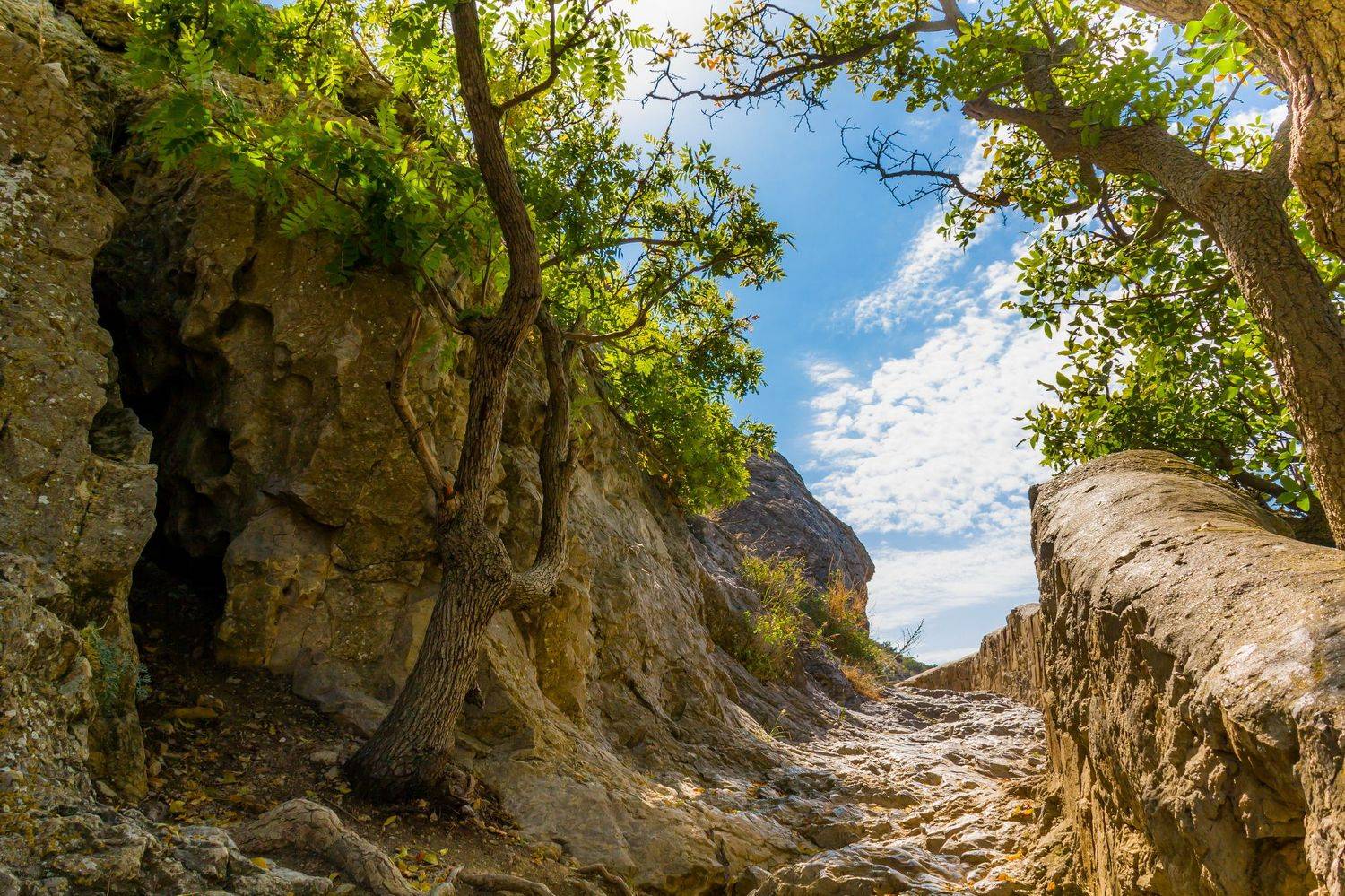 Новый Свет, Крым, лето, пейзаж, Юрий Морозов