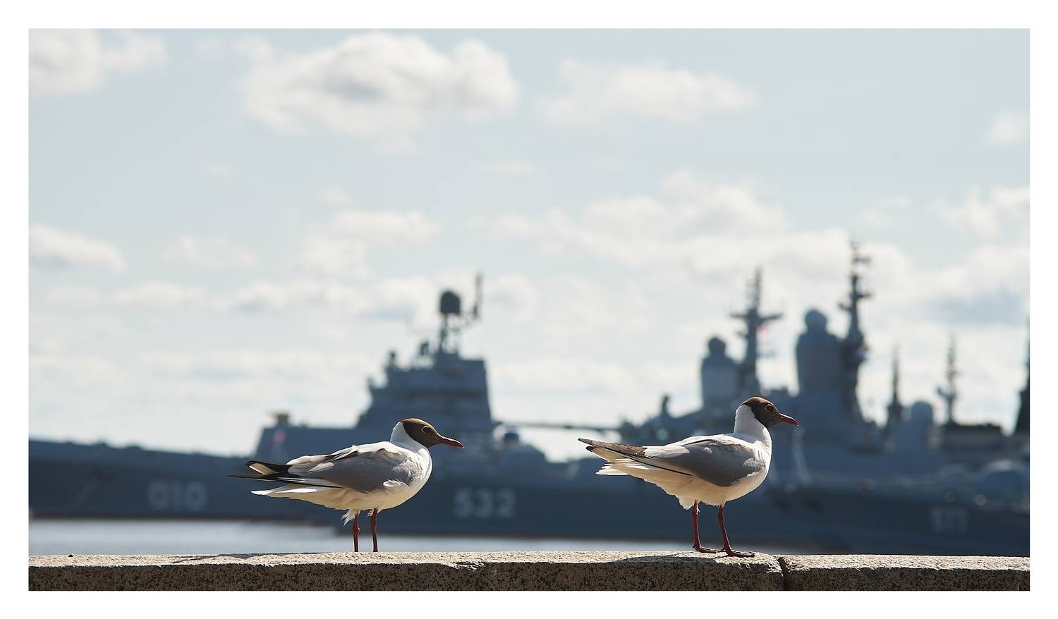 , Станислав