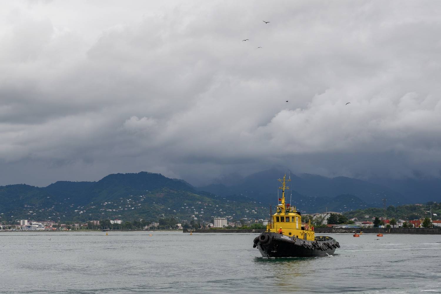 , Николай Никитин