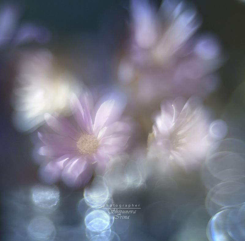 Сны... фото превью