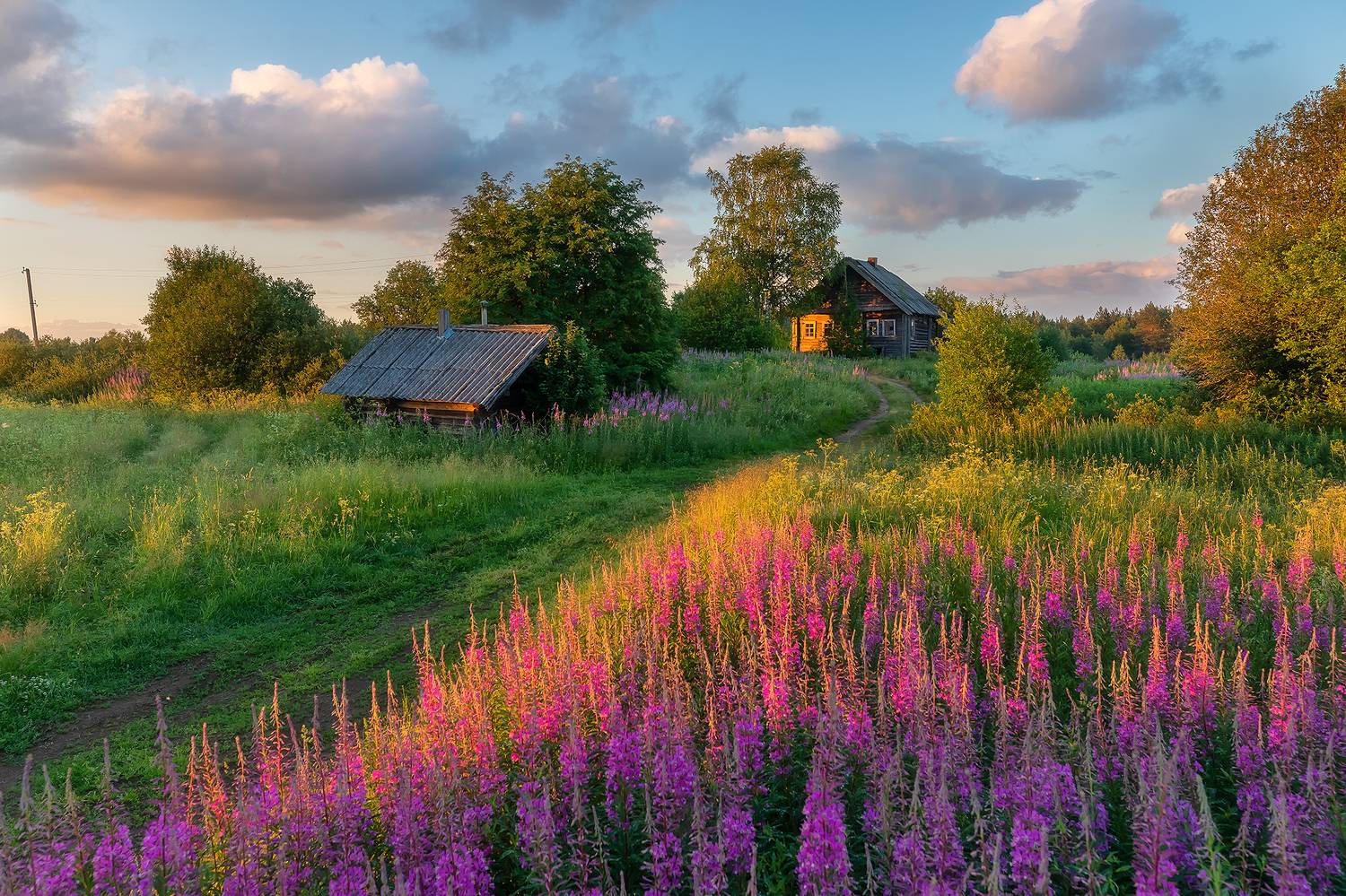 , Александр Пашеничев