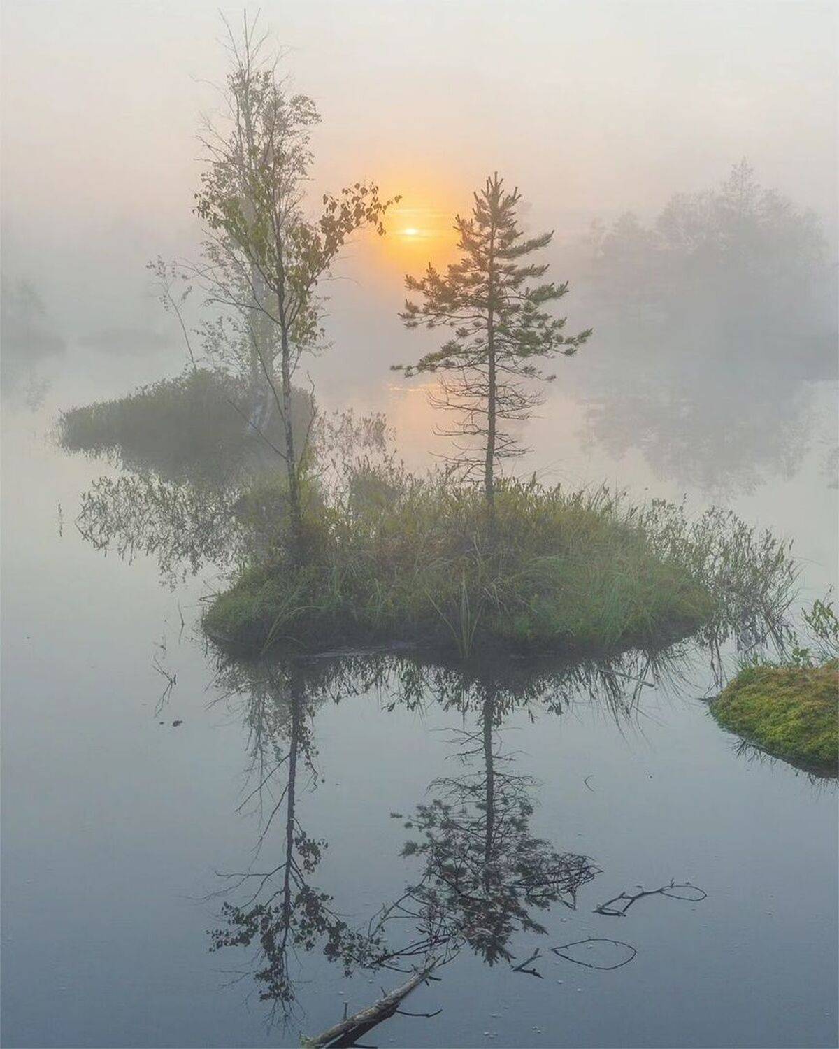 , Петр Косых