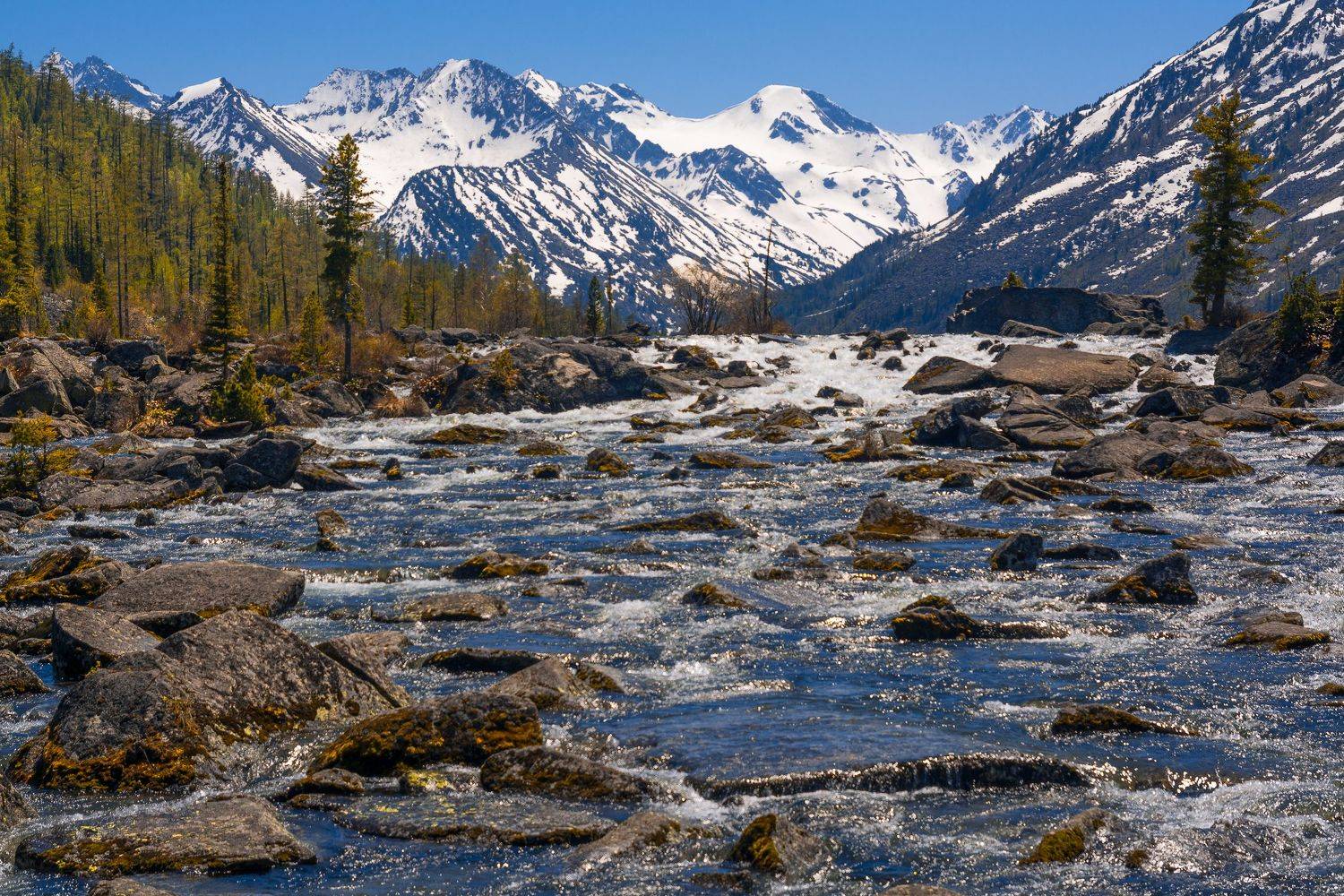 россия, горный алтай, шумы, Андрей Поляков