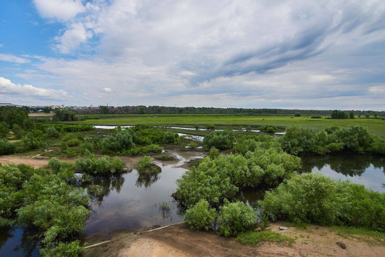 volgograd, russia, landscapes, wildlife, , Сторчилов Павел