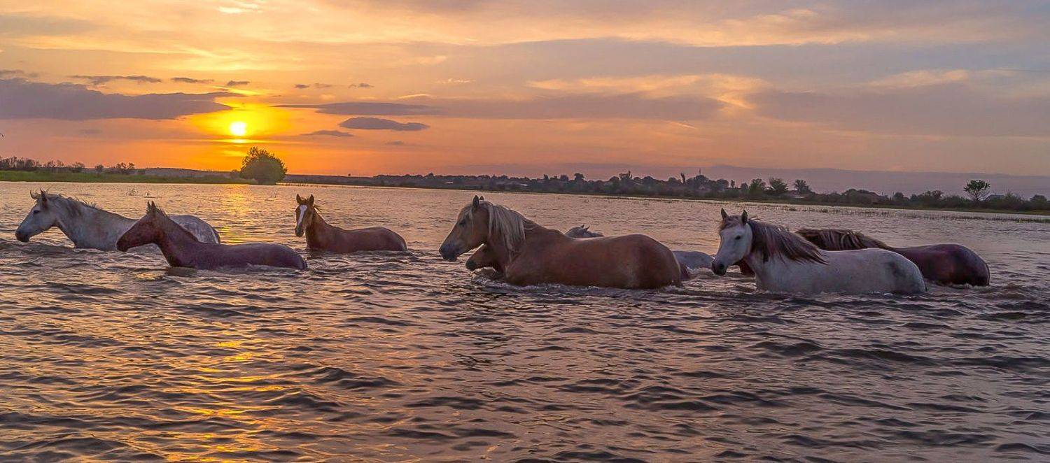 у села  камышово, Сергей цыбизов