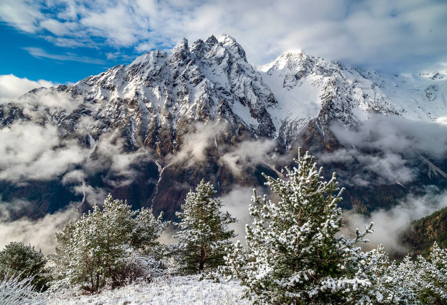 , Лесина Елена