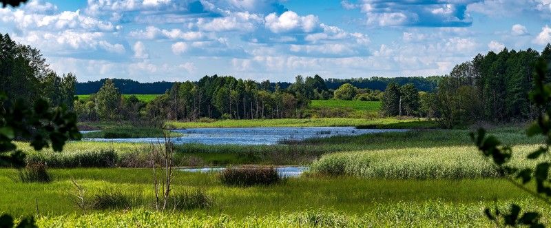 *** фото превью