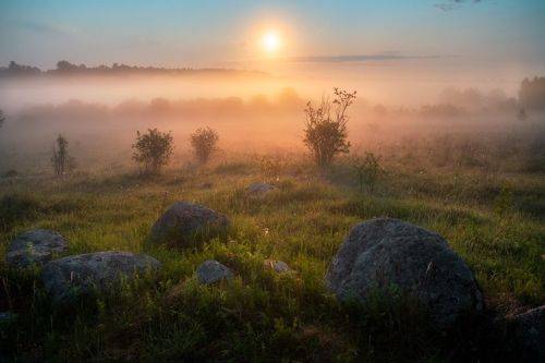 Восход середины лета