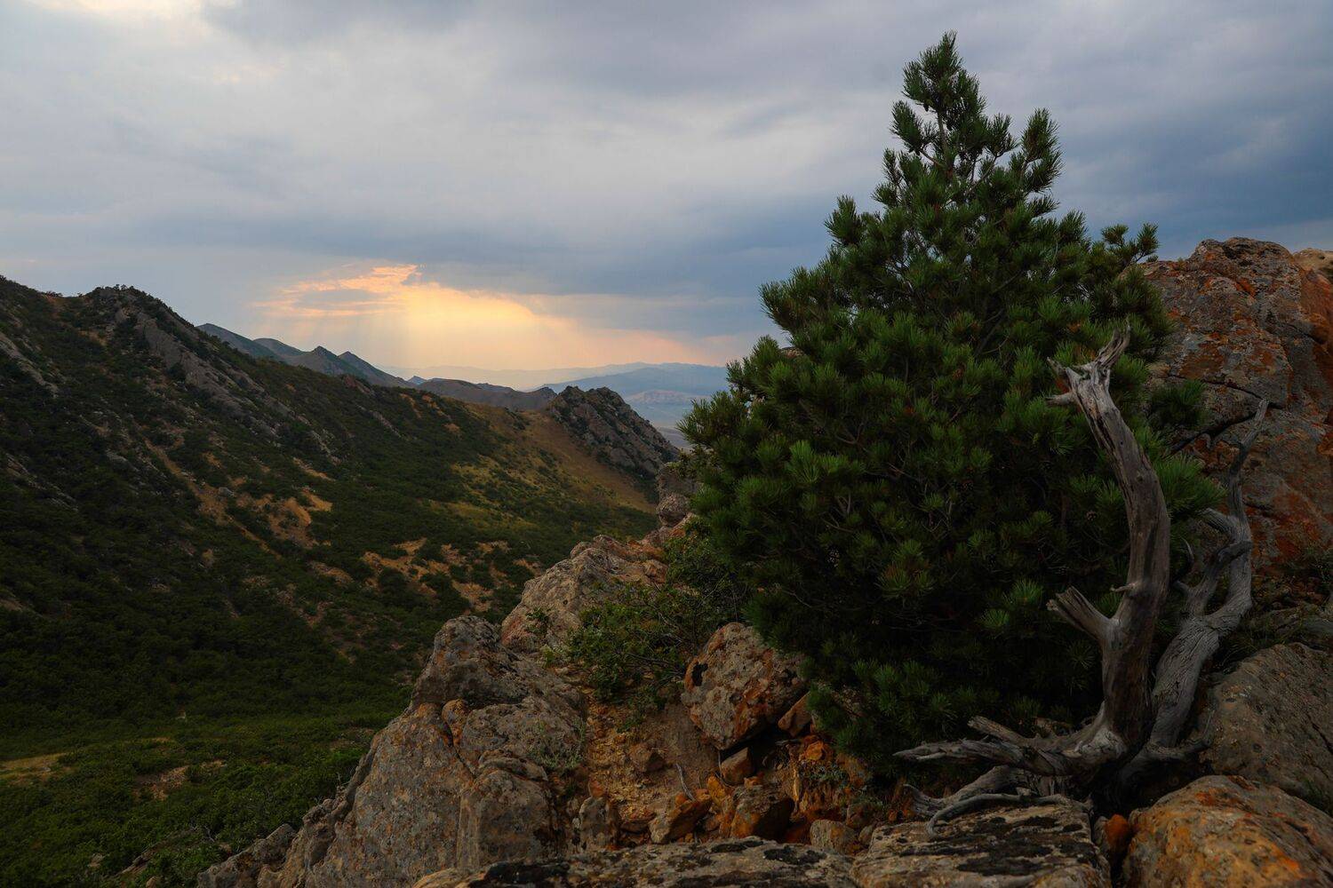 пейзаж,закат,горы,вечер,дагестан,, Magov Marat