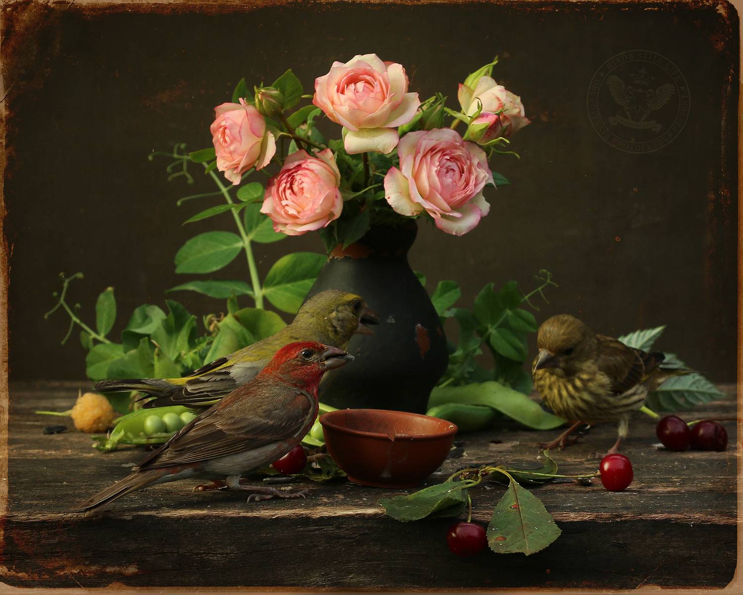 чечевица, Хромушин Олег